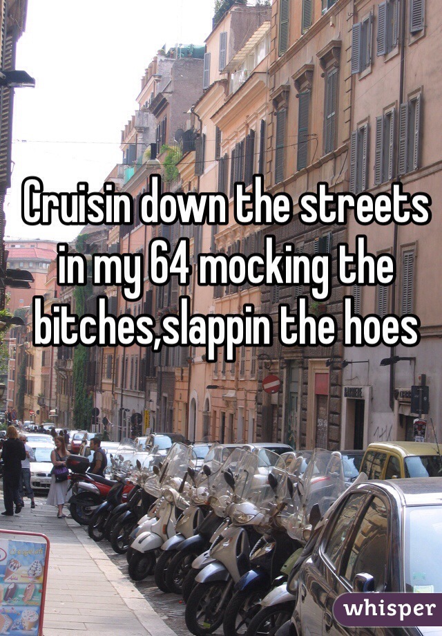 Cruisin down the streets in my 64 mocking the bitches,slappin the hoes