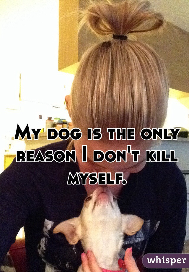 My dog is the only reason I don't kill myself.