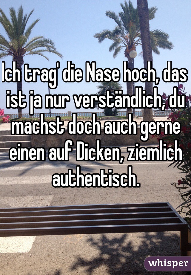 Ich trag' die Nase hoch, das ist ja nur verständlich, du machst doch auch gerne einen auf Dicken, ziemlich authentisch.