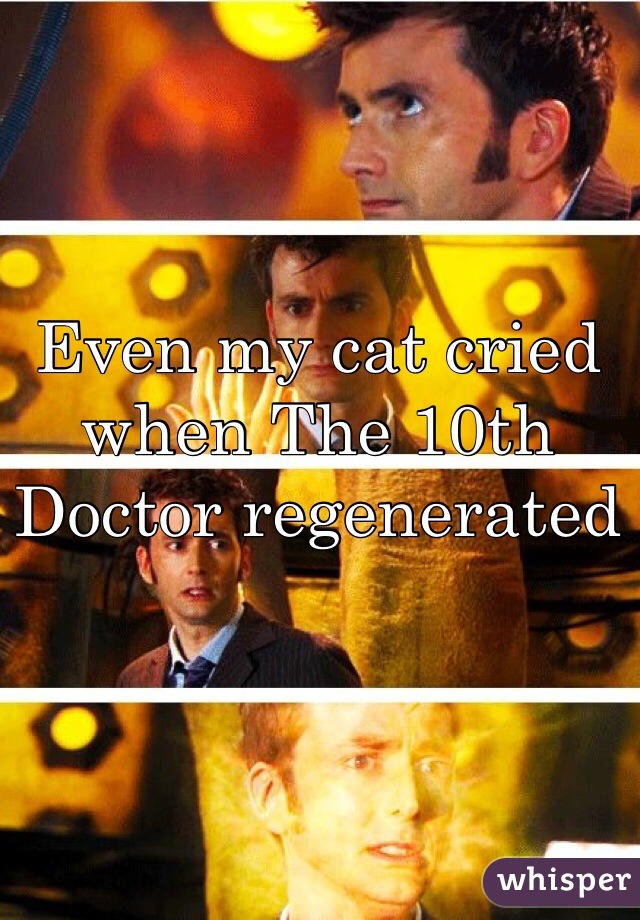 Even my cat cried when The 10th Doctor regenerated 