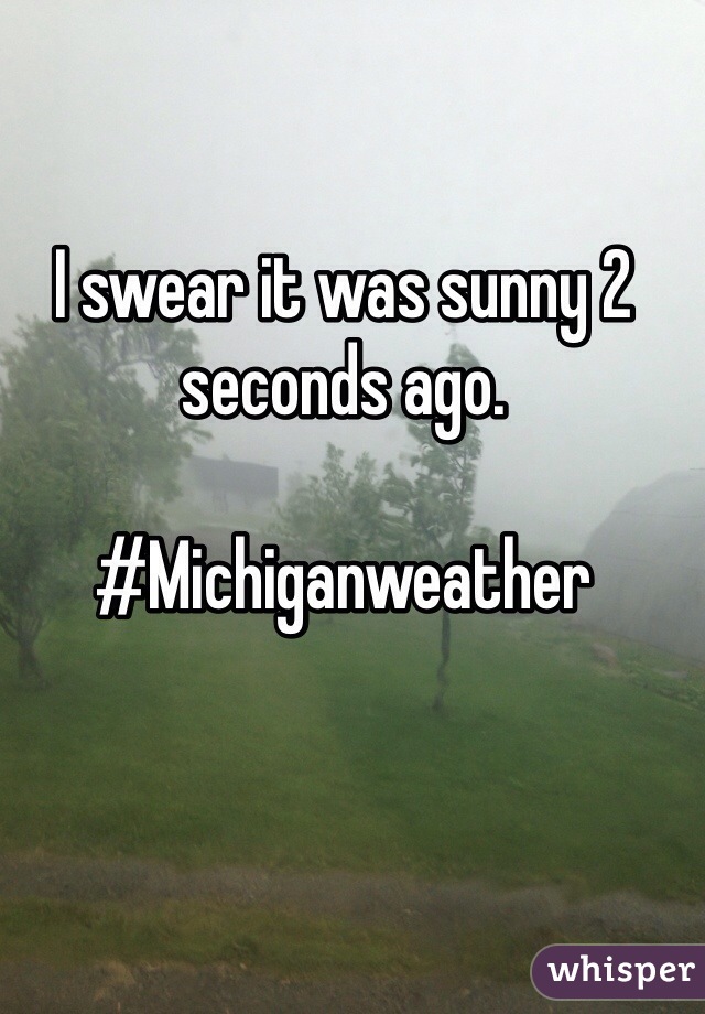 I swear it was sunny 2 seconds ago.

#Michiganweather
