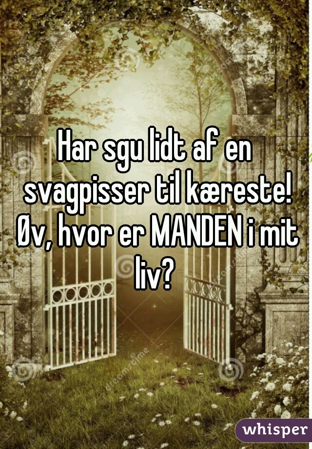 Har sgu lidt af en svagpisser til kæreste! Øv, hvor er MANDEN i mit liv? 