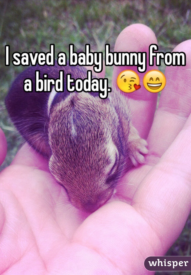 I saved a baby bunny from a bird today. 😘😄