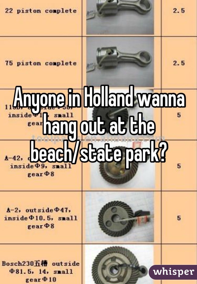 Anyone in Holland wanna hang out at the beach/state park?