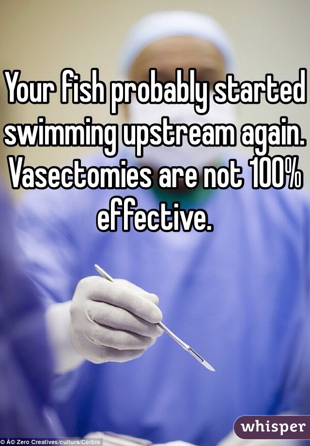 Your fish probably started swimming upstream again. Vasectomies are not 100% effective. 