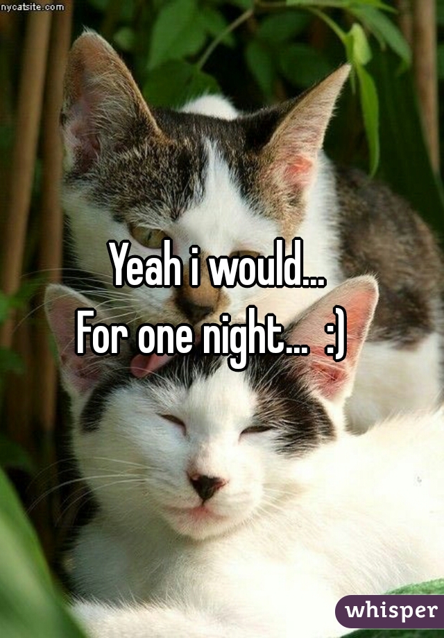 Yeah i would... 
For one night...  :)  