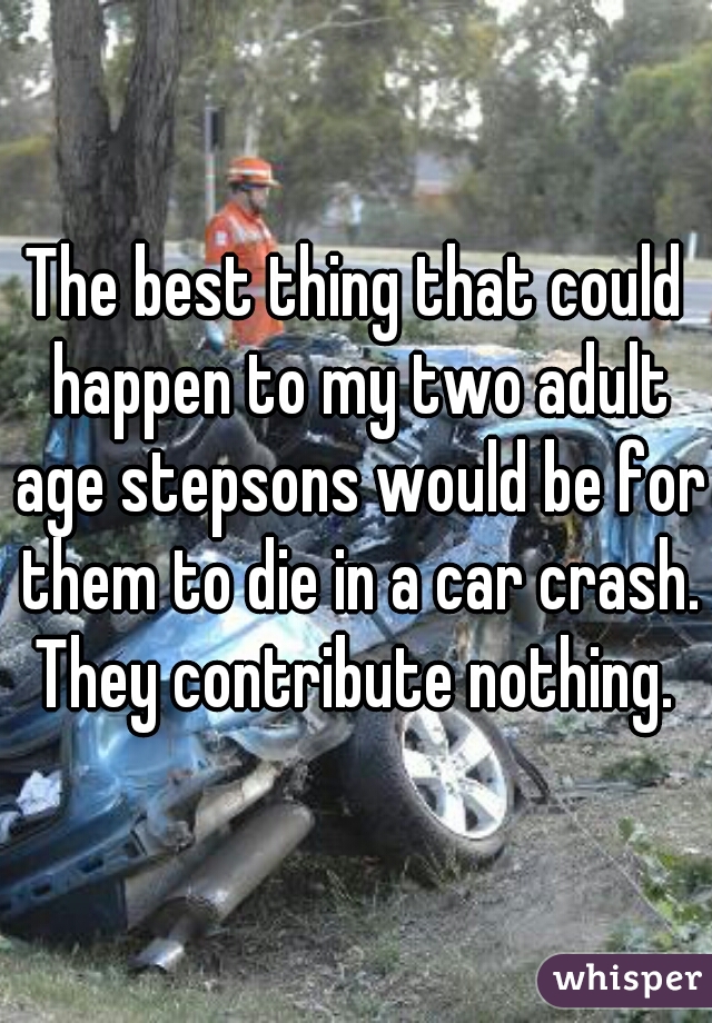 The best thing that could happen to my two adult age stepsons would be for them to die in a car crash.
They contribute nothing.