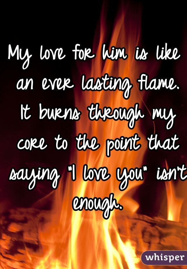 My love for him is like an ever lasting flame. It burns through my core to the point that saying "I love you" isn't enough.