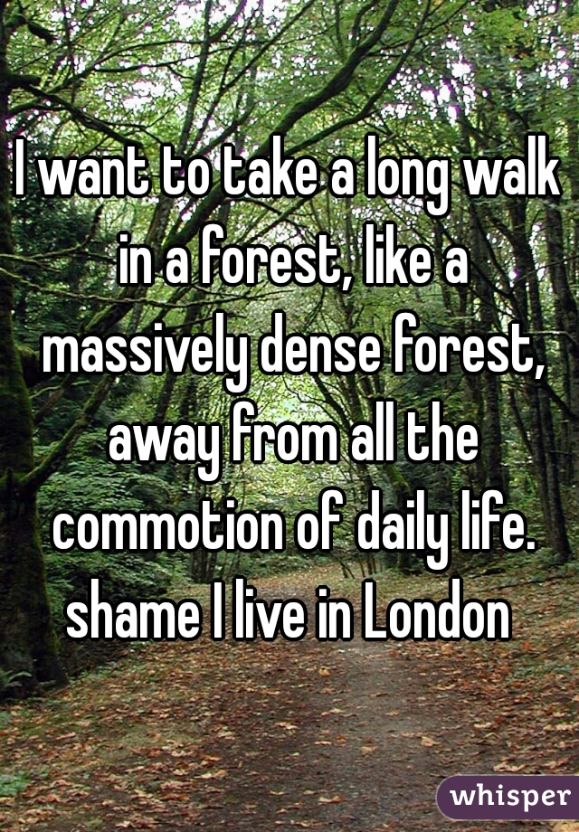 I want to take a long walk in a forest, like a massively dense forest, away from all the commotion of daily life. shame I live in London 