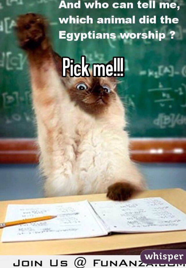 Pick me!!!