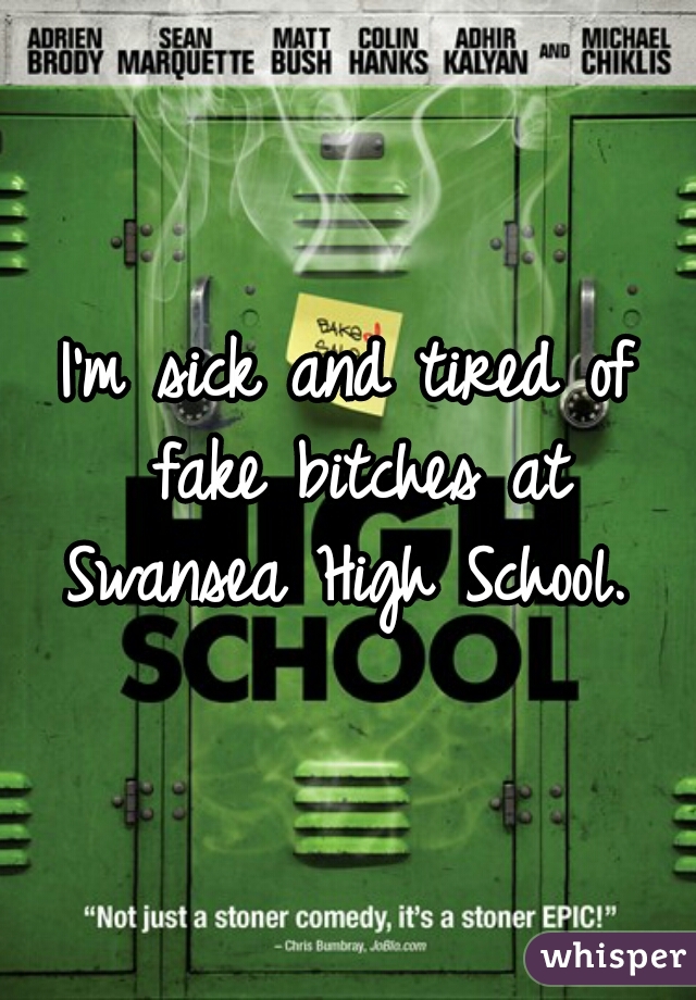 I'm sick and tired of fake bitches at Swansea High School. 