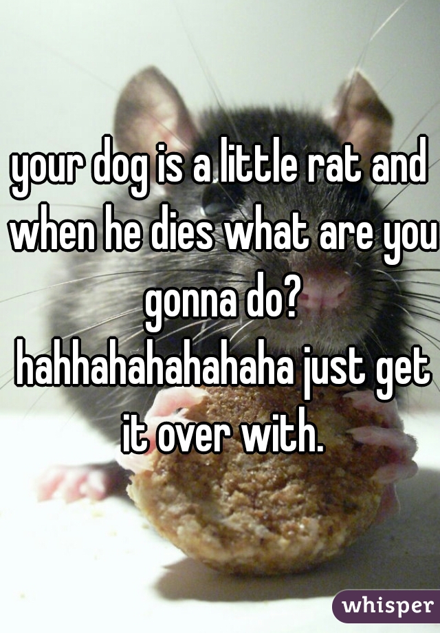 your dog is a little rat and when he dies what are you gonna do? hahhahahahahaha just get it over with.