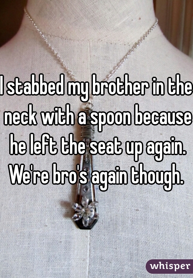 I stabbed my brother in the neck with a spoon because he left the seat up again. We're bro's again though. 