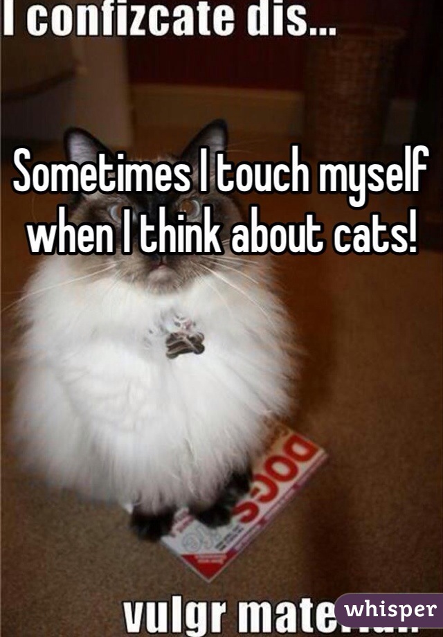 Sometimes I touch myself when I think about cats!