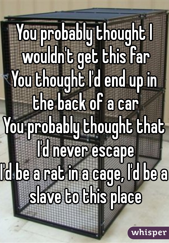 You probably thought I wouldn't get this far
You thought I'd end up in the back of a car
You probably thought that I'd never escape
I'd be a rat in a cage, I'd be a slave to this place