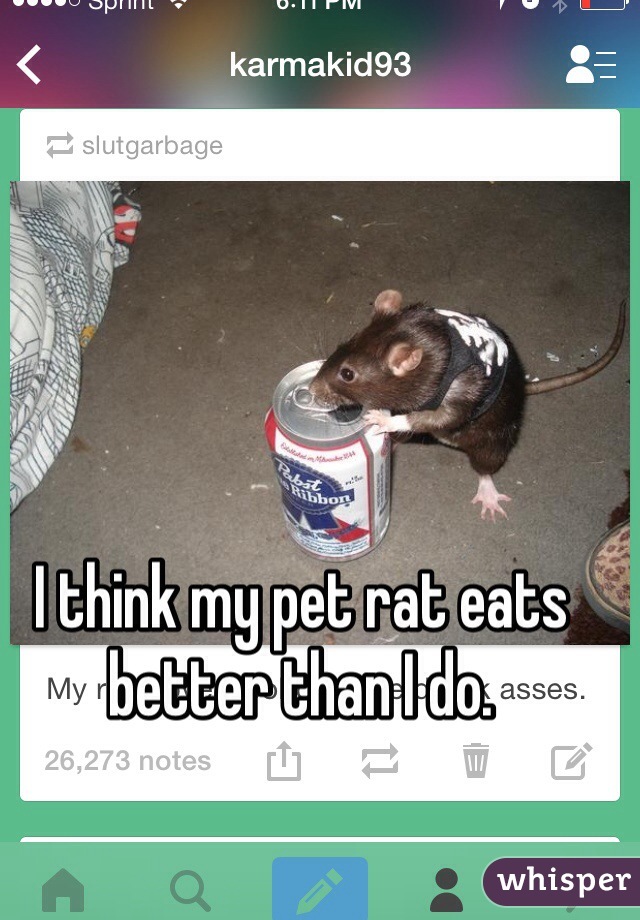 I think my pet rat eats better than I do. 