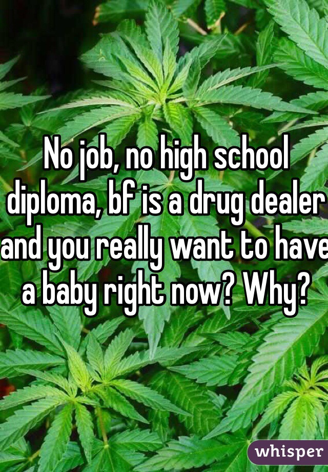 No job, no high school diploma, bf is a drug dealer and you really want to have a baby right now? Why? 