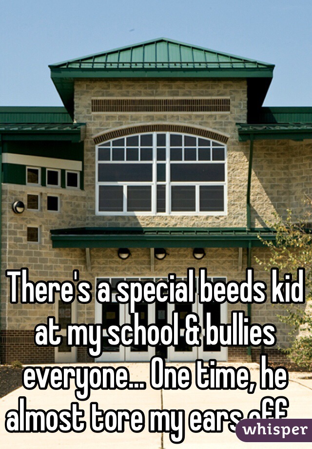 There's a special beeds kid at my school & bullies everyone... One time, he almost tore my ears off...