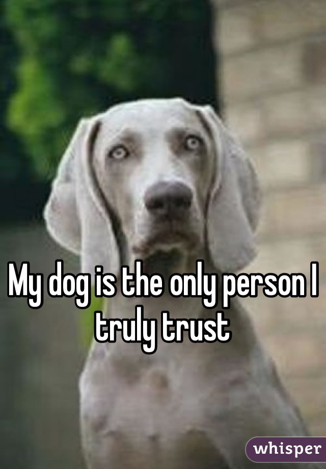 My dog is the only person I truly trust