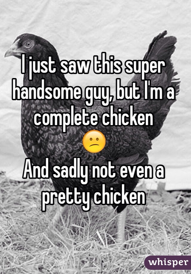 I just saw this super handsome guy, but I'm a complete chicken  
😕
And sadly not even a pretty chicken 