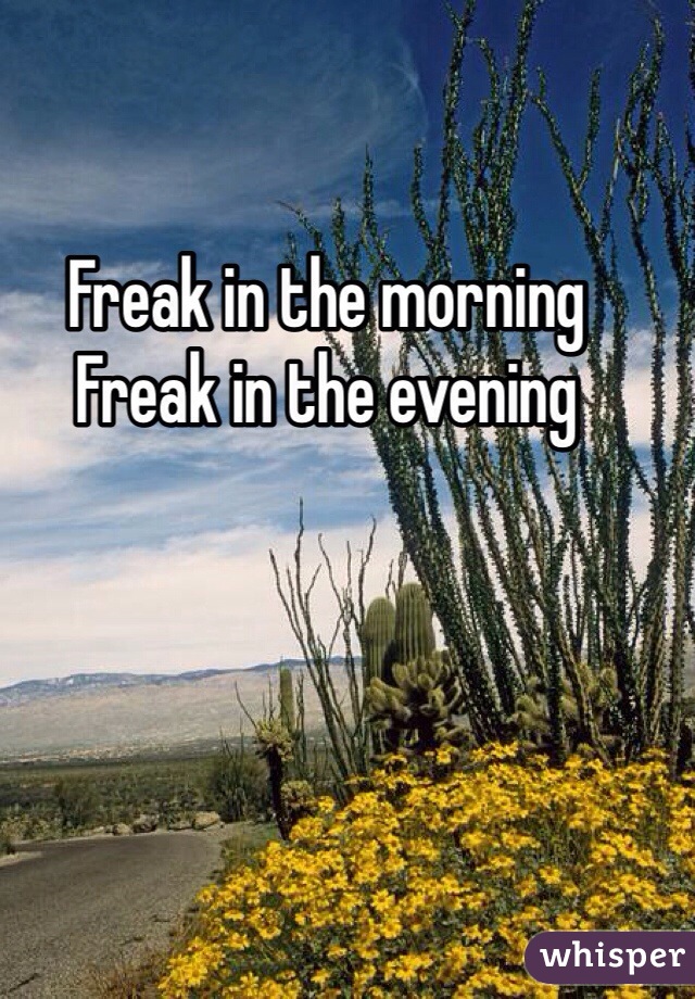 Freak in the morning
Freak in the evening 
