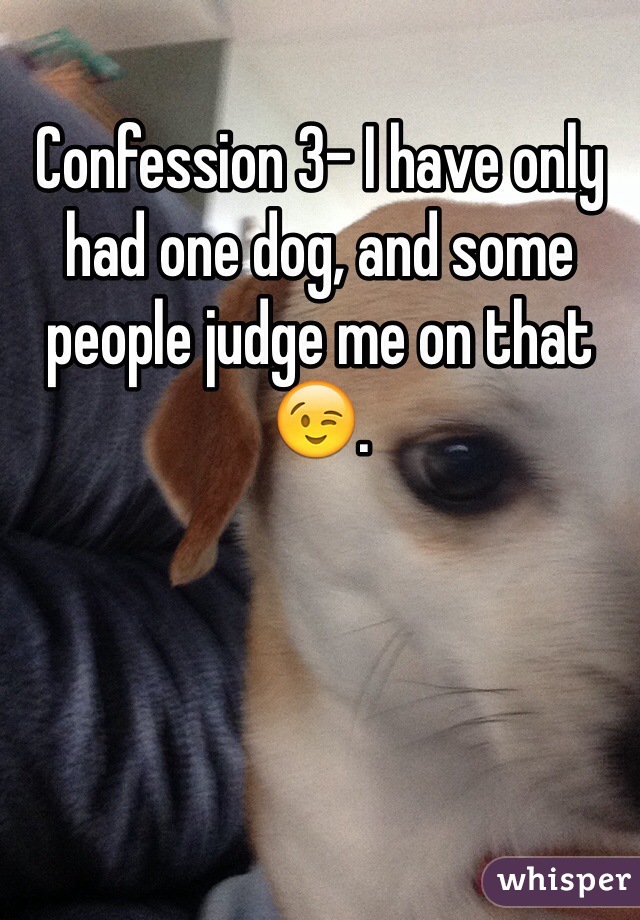 Confession 3- I have only had one dog, and some people judge me on that😉.