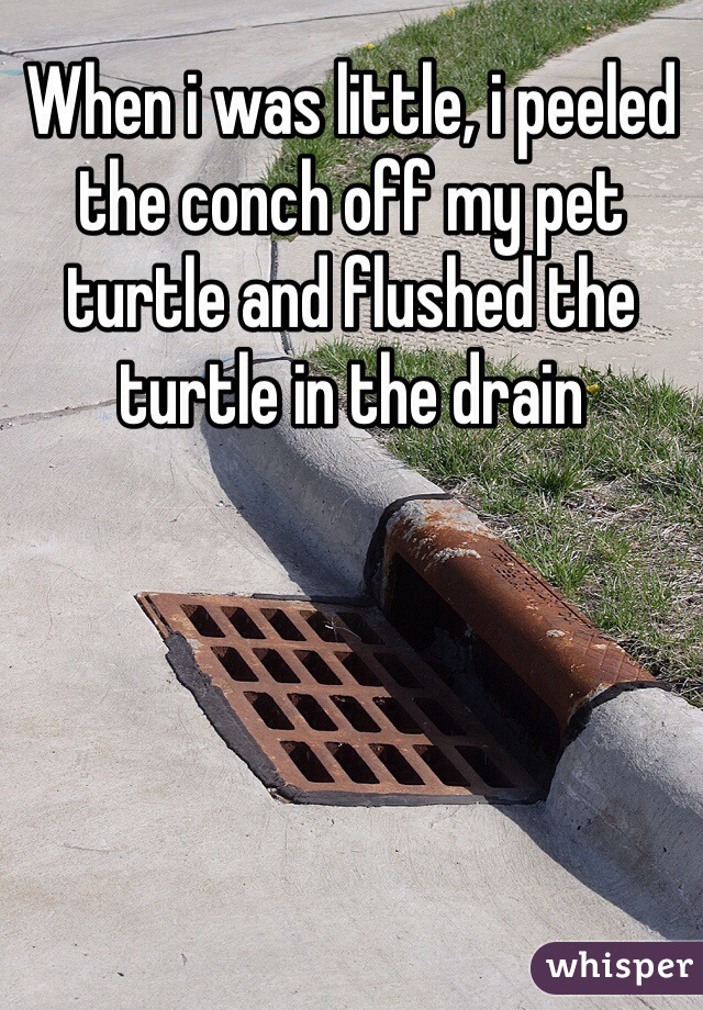 When i was little, i peeled the conch off my pet turtle and flushed the turtle in the drain