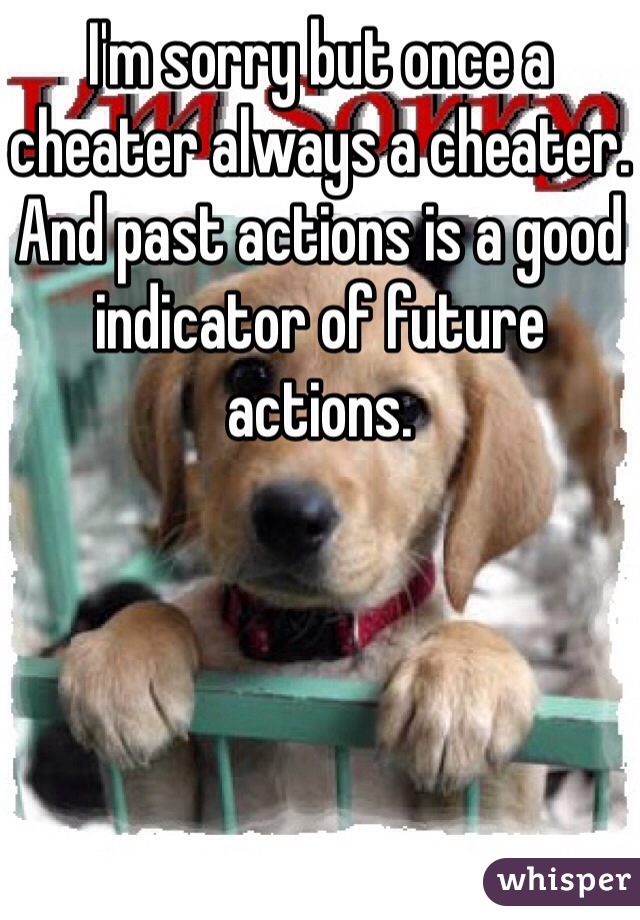 I'm sorry but once a cheater always a cheater. And past actions is a good indicator of future actions. 