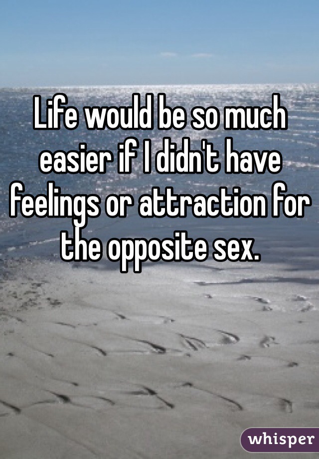 Life would be so much easier if I didn't have feelings or attraction for the opposite sex. 