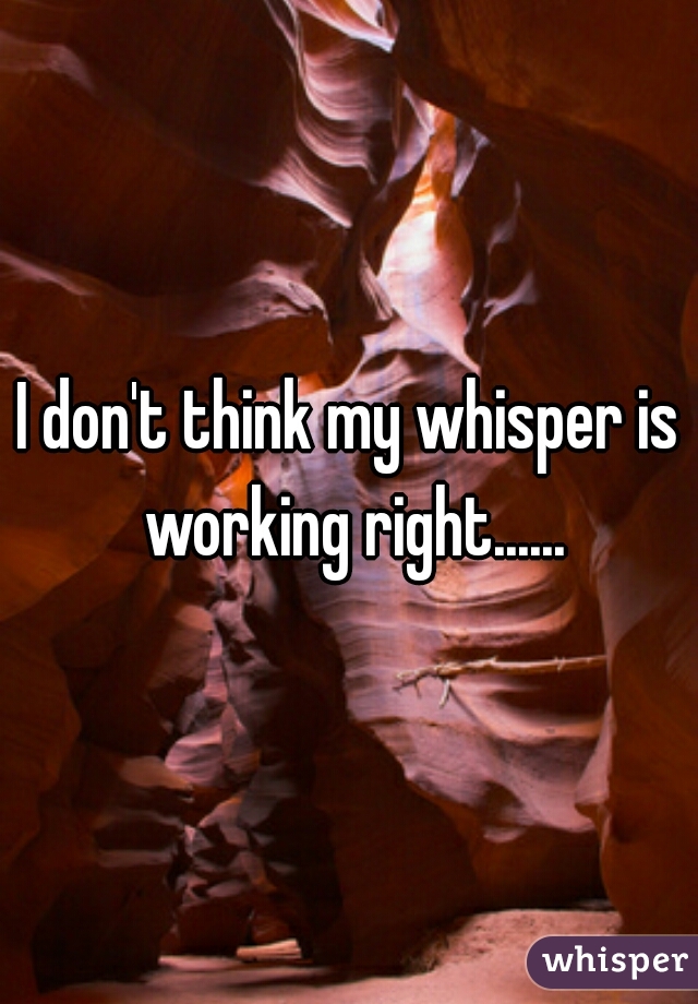 I don't think my whisper is working right......