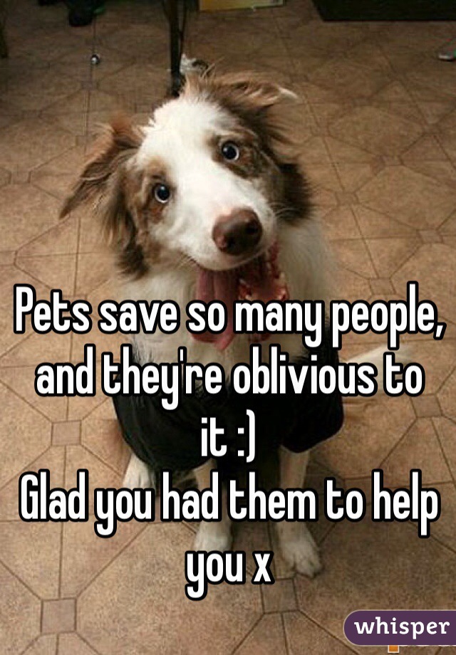 Pets save so many people, and they're oblivious to it :) 
Glad you had them to help you x