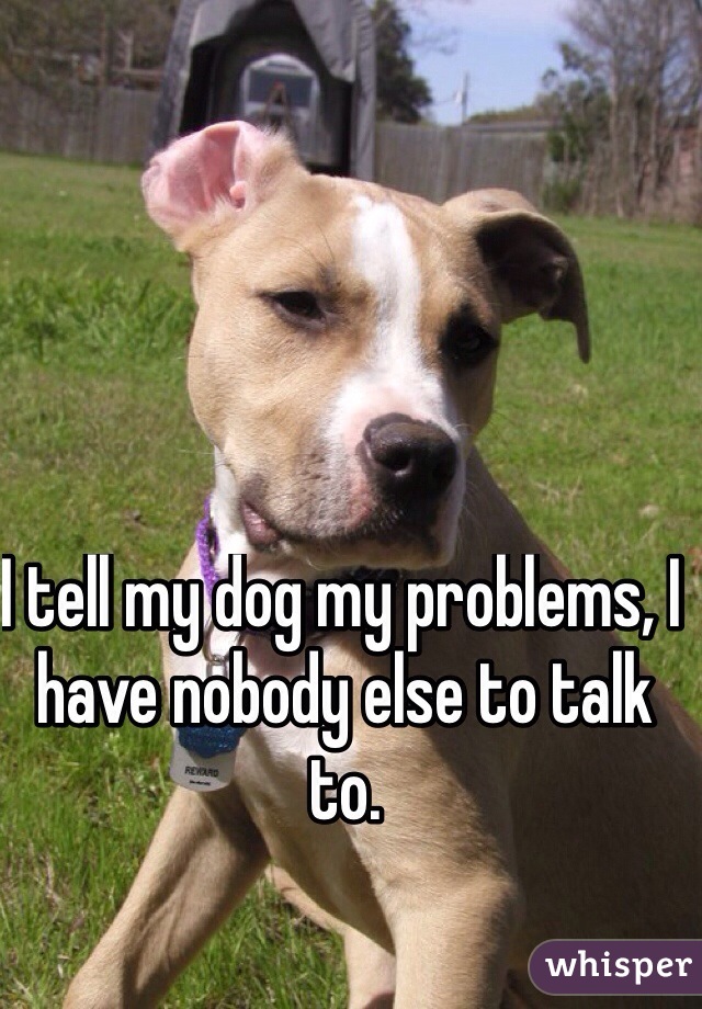 I tell my dog my problems, I have nobody else to talk to. 