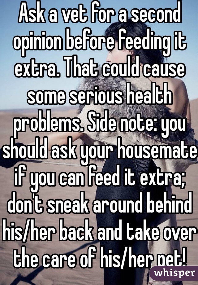 Ask a vet for a second opinion before feeding it extra. That could cause some serious health problems. Side note: you should ask your housemate if you can feed it extra; don't sneak around behind his/her back and take over the care of his/her pet! That's wrong. 