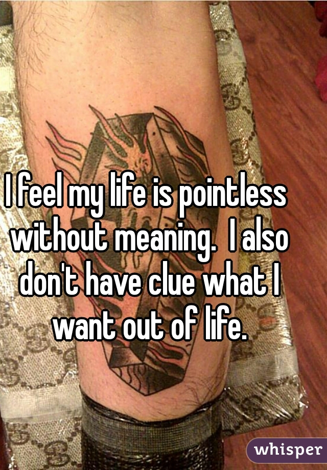 I feel my life is pointless without meaning.  I also don't have clue what I want out of life.