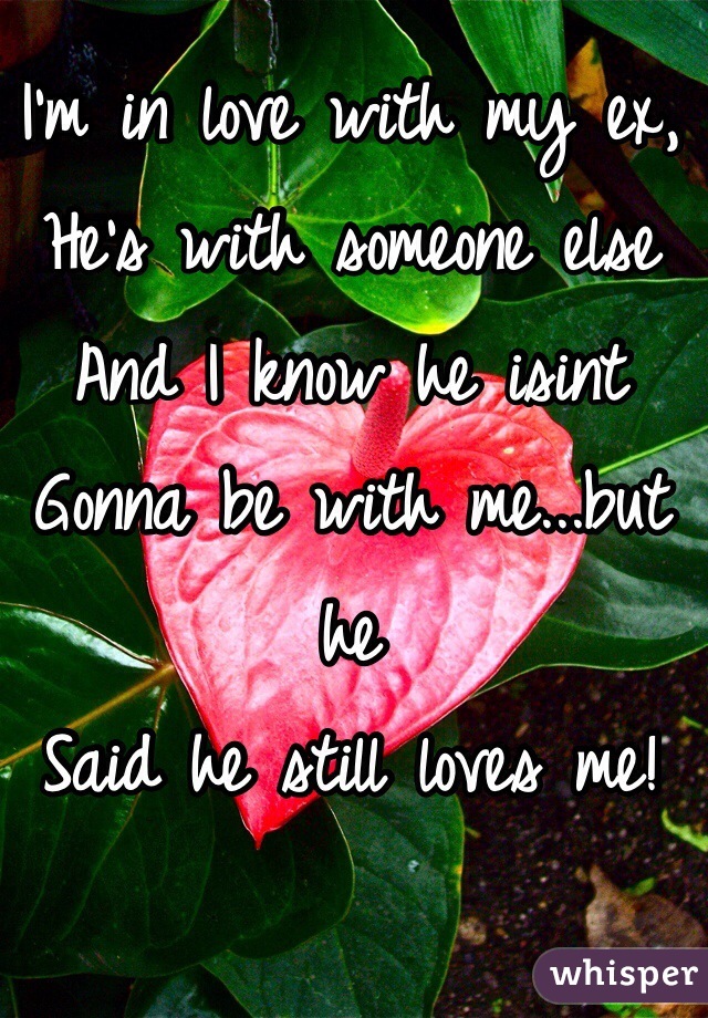 I'm in love with my ex, 
He's with someone else 
And I know he isint 
Gonna be with me...but he
Said he still loves me! 