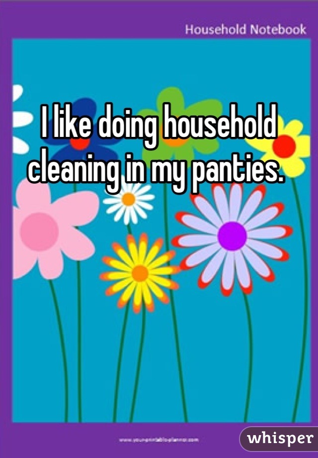 I like doing household cleaning in my panties. 