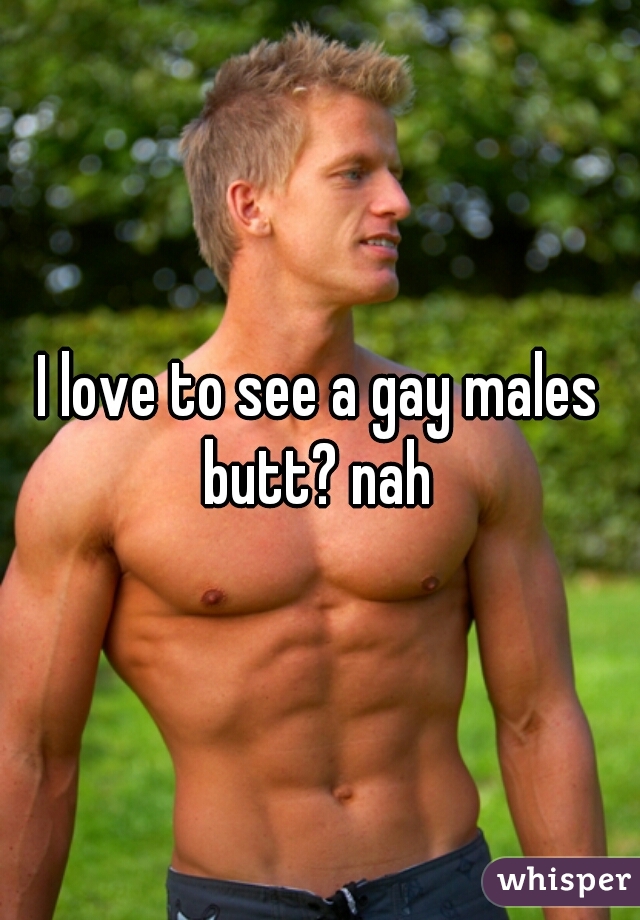 I love to see a gay males butt? nah 