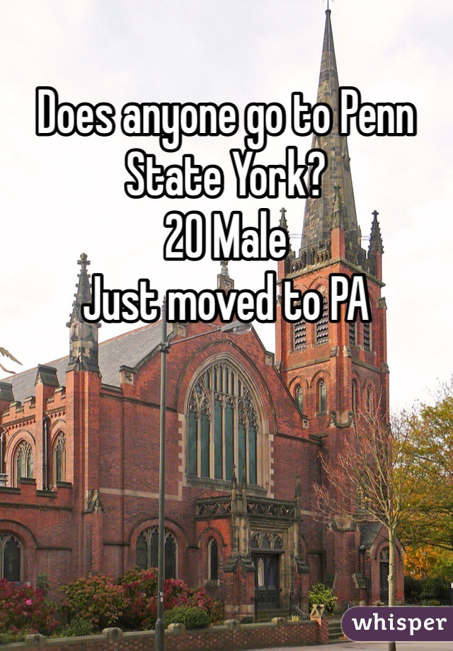 Does anyone go to Penn State York? 
20 Male
Just moved to PA 