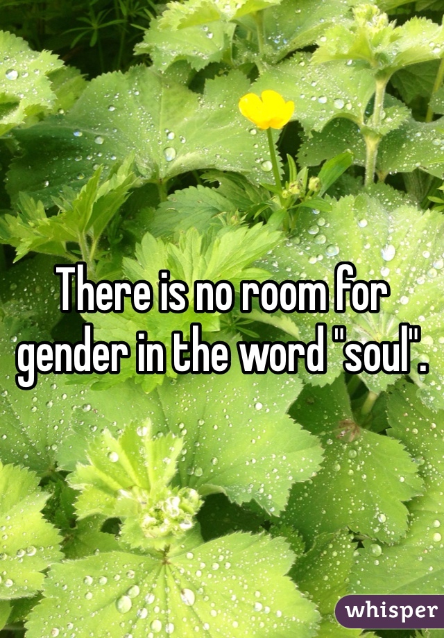 There is no room for gender in the word "soul". 