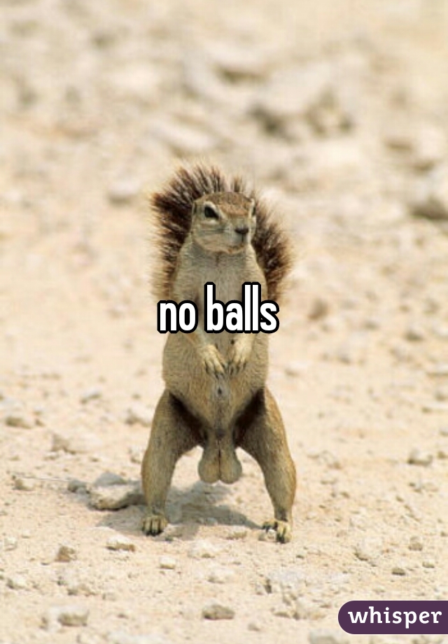 no balls 
