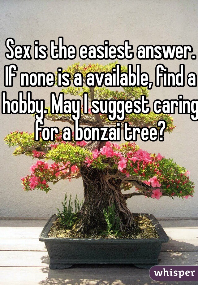 Sex is the easiest answer. If none is a available, find a hobby. May I suggest caring for a bonzai tree?