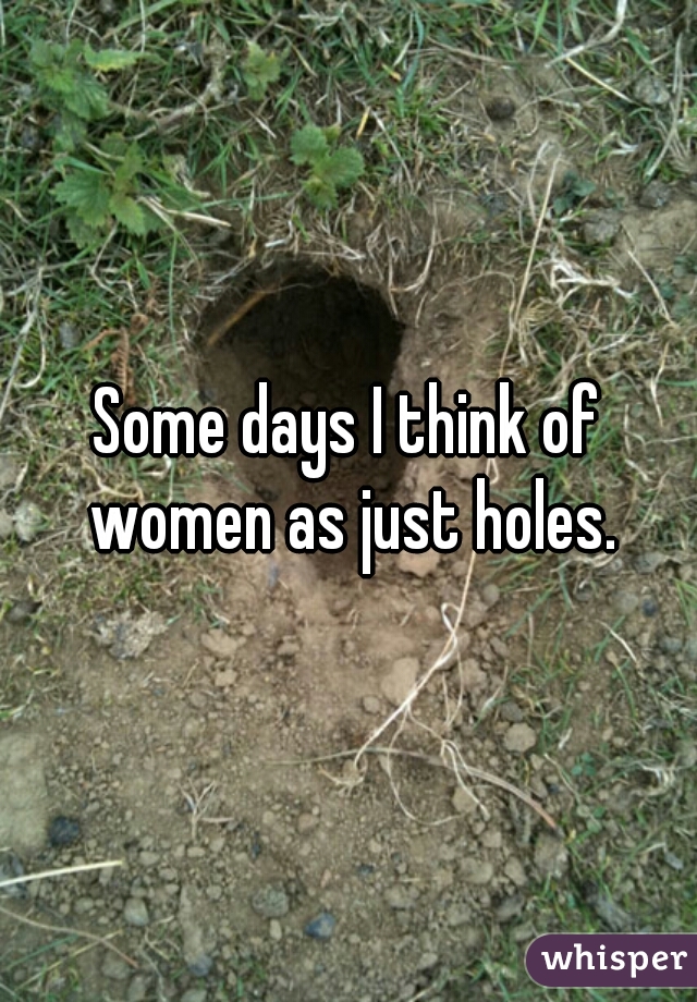 Some days I think of women as just holes.
