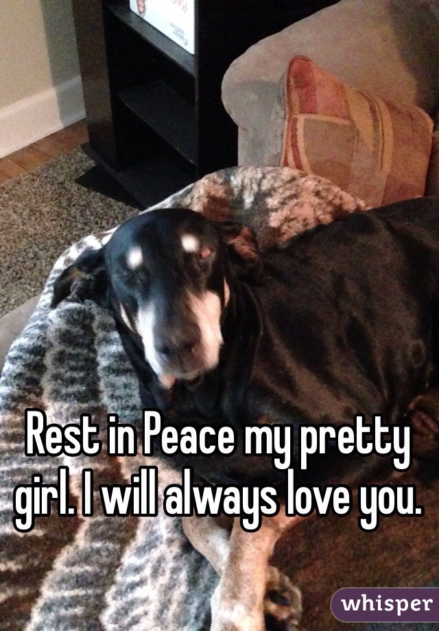 Rest in Peace my pretty girl. I will always love you. 