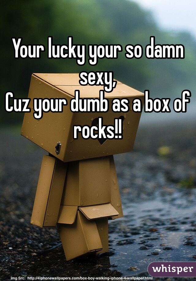 Your lucky your so damn sexy,
Cuz your dumb as a box of rocks!!