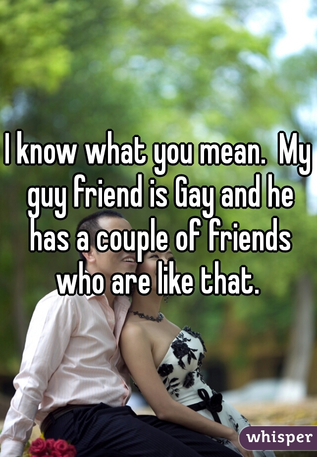 I know what you mean.  My guy friend is Gay and he has a couple of friends who are like that. 