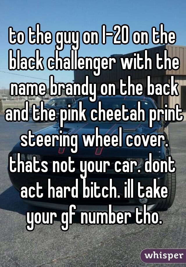 to the guy on I-20 on the black challenger with the name brandy on the back and the pink cheetah print steering wheel cover.
thats not your car. dont act hard bitch. ill take your gf number tho.