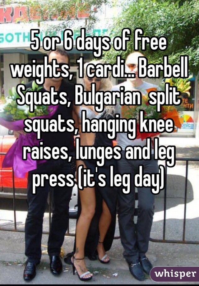 5 or 6 days of free weights, 1 cardi... Barbell Squats, Bulgarian  split squats, hanging knee raises, lunges and leg press (it's leg day)