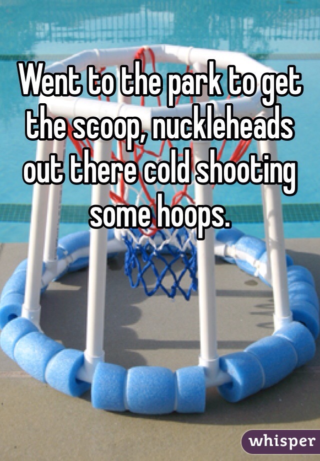 Went to the park to get the scoop, nuckleheads out there cold shooting some hoops. 