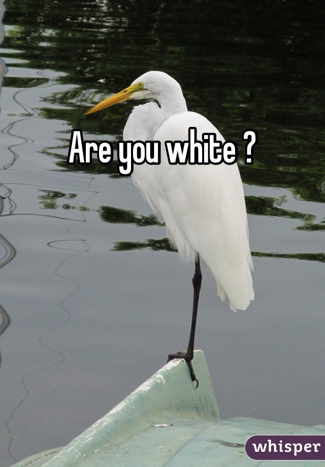 Are you white ?