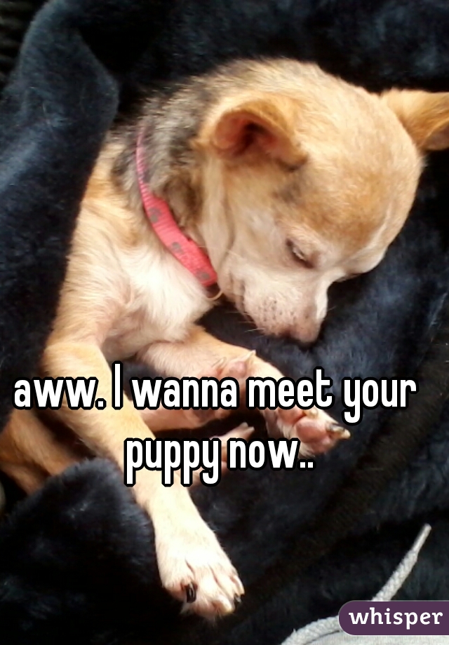 aww. I wanna meet your puppy now..